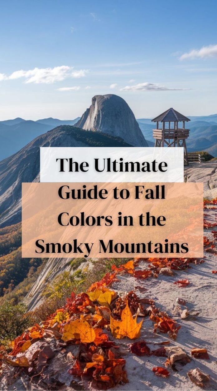 There’s nothing quite like witnessing the breathtaking beauty of the Smoky Mountains in the fall. Every year, as summer fades away, the mountains transform into a vibrant display of red, orange, and gold. The crisp autumn air, the scent of falling leaves, and the endless scenic drives make it the perfect destination for leaf-peepers and nature lovers alike.